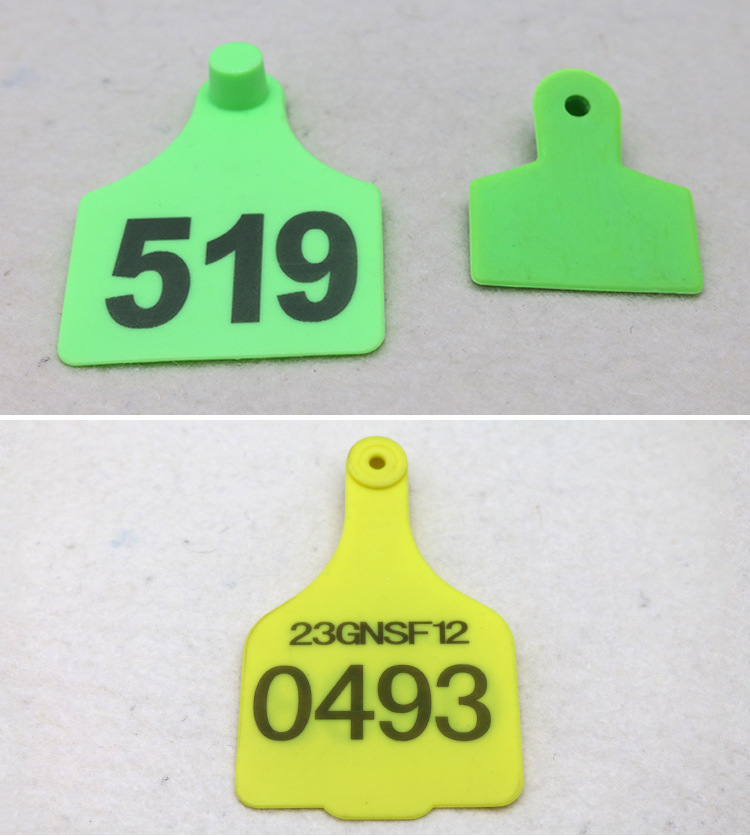 db8ab82f6bbb85fb3667a2f9e63b942d.jpg
