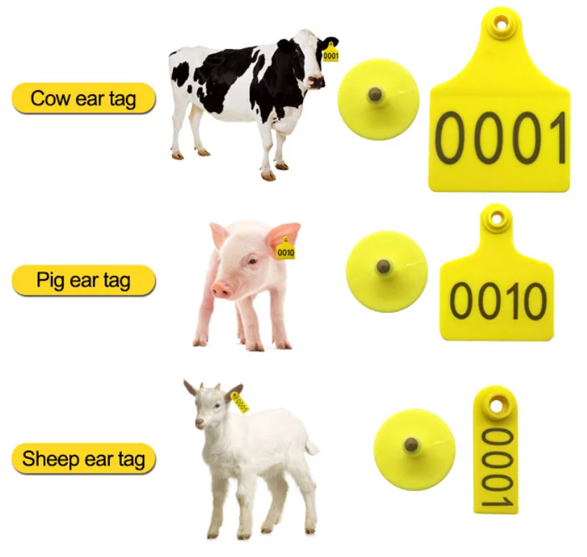 H35011b5dcdc74d30a70e68df7cc89828H.png
