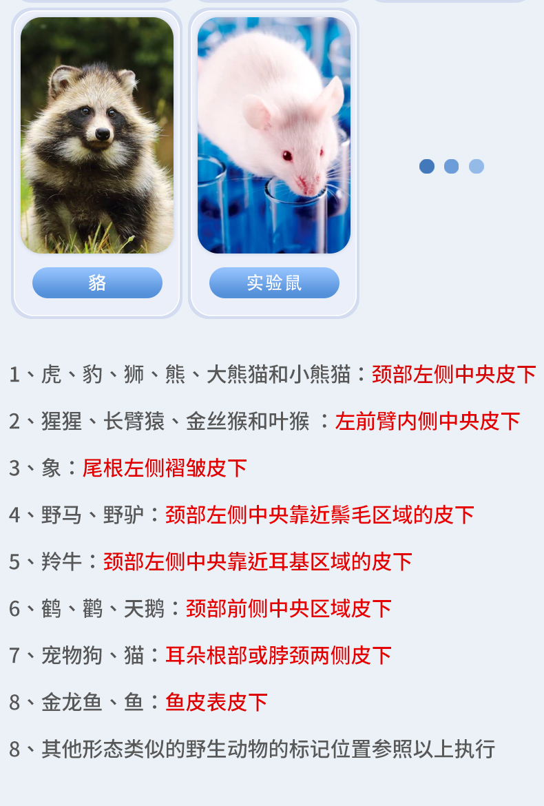 玻璃管3详情_03.jpg