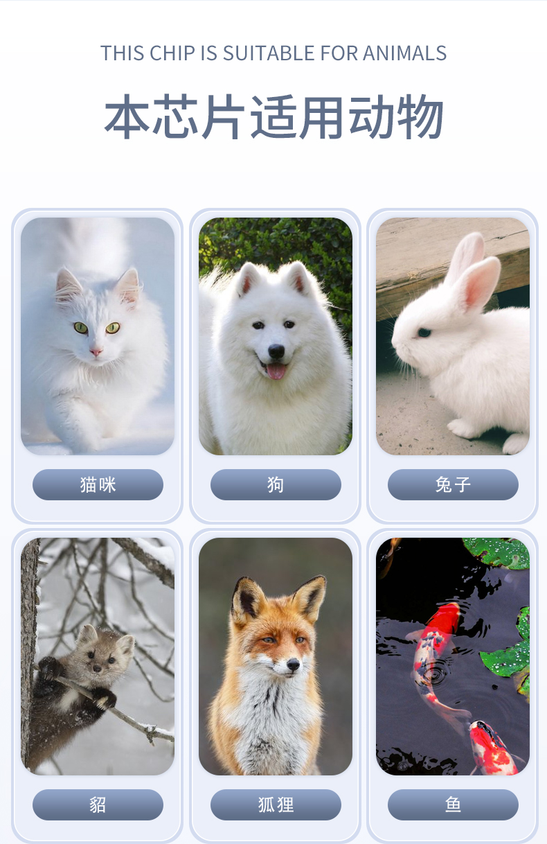 玻璃管1详情_03.jpg
