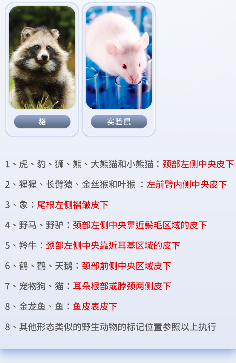 玻璃管1详情_04.jpg