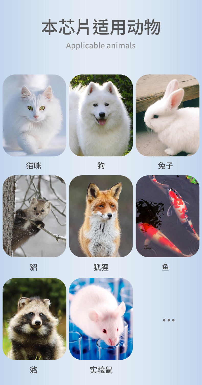 玻璃管详情_04.jpg